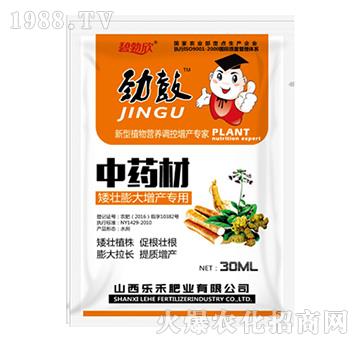 �Ź���ˎ�Č�(zhu��n)��-��(l��)��