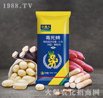 0.5������-����ˎ��-С����