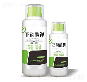 �������0-525-375+TE-�|�S¡