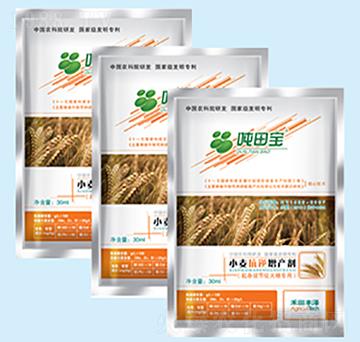 С���ι�(ji��)�ڌ�����-���-�����S��