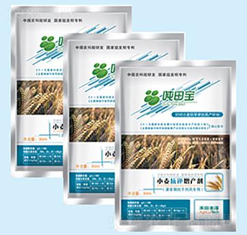 С�����{�ڌ�����-���-�����S��