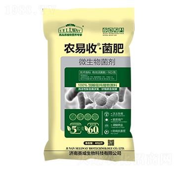 �r���ա�����-ِ������