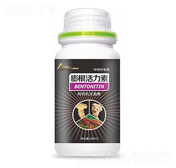 ��ˎ�Č������������-�����Ƽ�