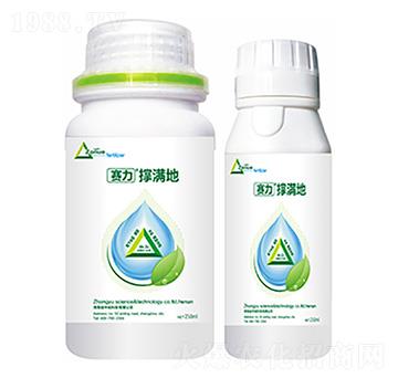 �ΝM��-�����Ƽ�