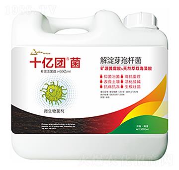 ���ѿ�ߗU��-ʮ�|�F��-�����Ƽ�