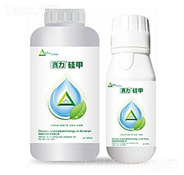 ِ�����-�����Ƽ�