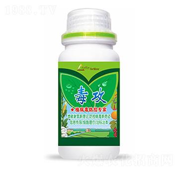 ����-�����Ƽ�