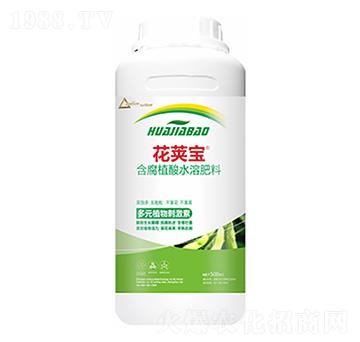 �󶹻�Ӣ��-�����Ƽ�