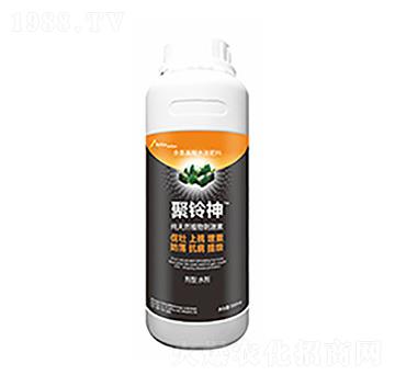 �����-�����Ƽ�