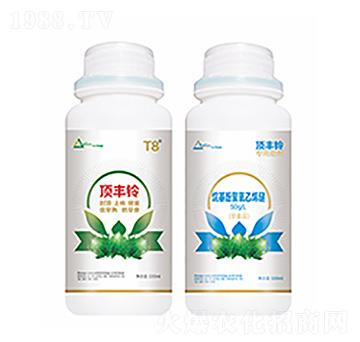 ��S�-�����Ƽ�