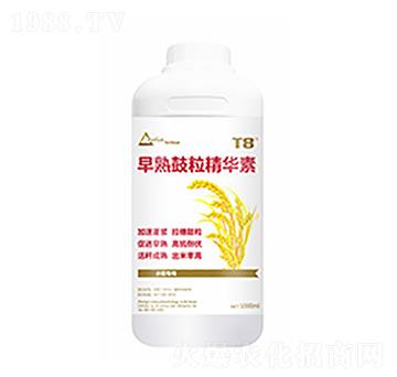 ����������A��-������