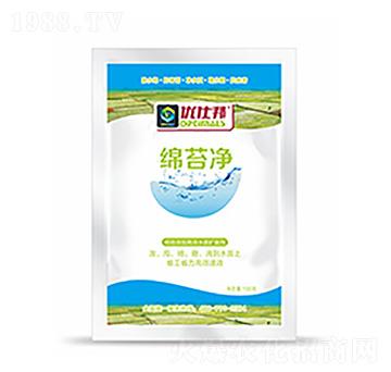 �d̦��-�����Ƽ�