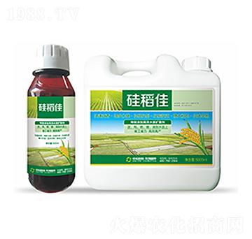 �赾��-�����Ƽ�