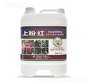 �Ϸۡ��t-�����Ƽ�