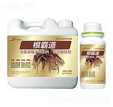 ���Ե�-�����Ƽ�