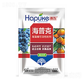 ِ�����տ�-�����Ƽ�