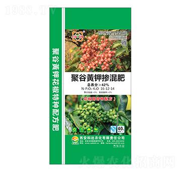 ������(zhu��n)�þ۹��S⛓����16-12-14-���_(d��)�r(n��ng)��