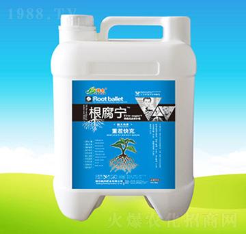 ������-�n��ʘI(y��)