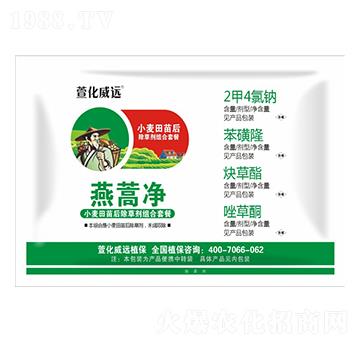 С���������݄��M���ײ�-�����-�滯���h