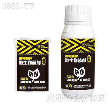 ̿�Ҍ���΢�������-ֲ������-������