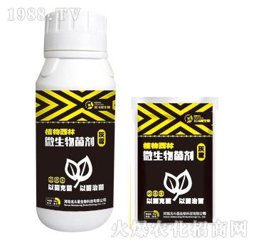 ��ù����΢�������-ֲ������-������