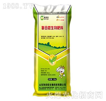 �ͺ�΢�������-����������