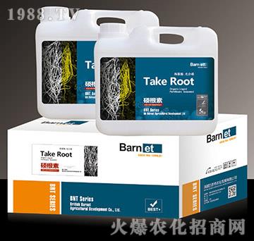 �T����-혞��r(n��ng)�I(y��)