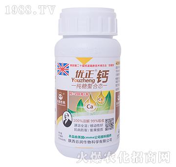 �������ϑB(t��i)-��(y��u)���\-�ȝ�����