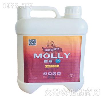 ī���~���}-����