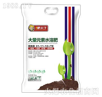 �ߵ��ʹ���Ԫ��ˮ�ܷ�31-11-10+TE-��̫��