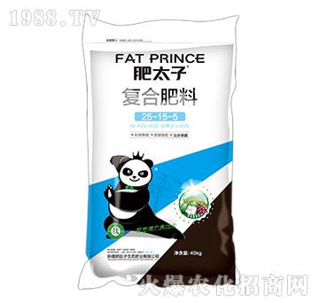 ��(f��)�Ϸ���25-15-5-��̫��