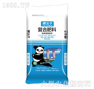 ���帯ֳ���͏�(f��)�Ϸ���16-14-15+TE-��̫��