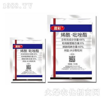 66%ϩ����������-˪��-�|������