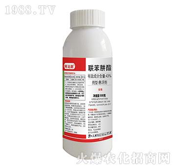 43%(li��n)������-������-�|������