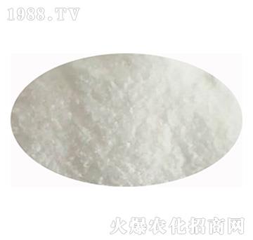 �����-����