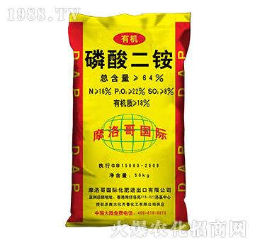 64%������@-Ħ���-���R��