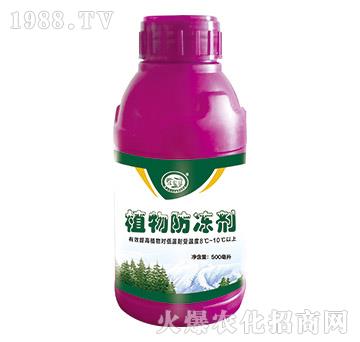 ֲ�������-�ֺ��