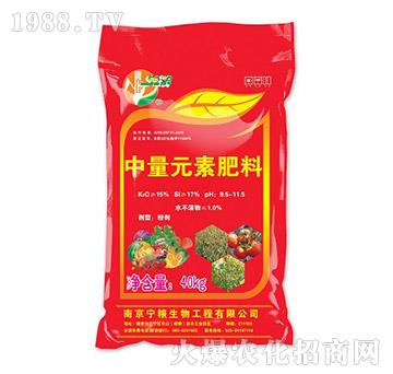 ����Ԫ�ط���-���Z����