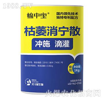 ��ή����ɢ-���Ќ�-��