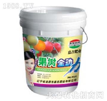 ����ȫ����-�μ�