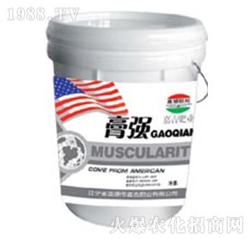 ����-�μ�