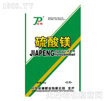 ��΢��Ԫ�ط���-�����V-����