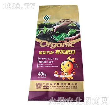 ���{�����ЙC(j��)����-���r(n��ng)