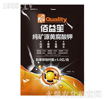 ���VԴ�S�����-������-�����r(n��ng)�I(y��)