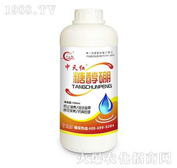 �Ǵ���-����t