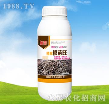 ������-ֲ��-�S�r(n��ng)�r(n��ng)��