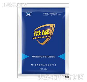 ��������Լ׻���ֲ����-΢��-�����_(d��)˹