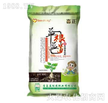 ΢�����ЙC��-�������-����r(n��ng)