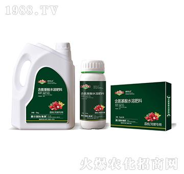 ��֦�����ی��ú�������