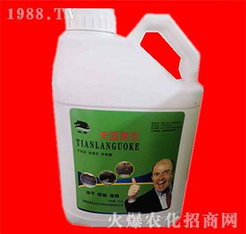 ���{����-���R�ʘI(y��)